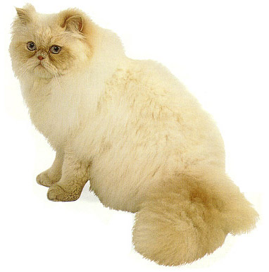 Simbad